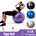 65cm Gym ball with Air pump