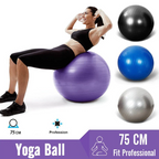 65cm Gym ball with Air pump